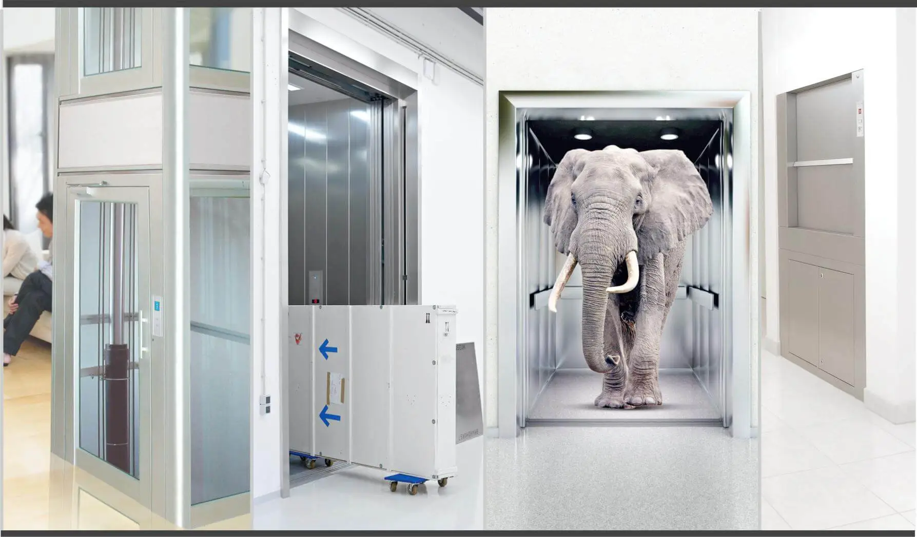 a Elephant in the Elevator